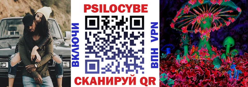 Купить где  Байкальск  Галлюциногенные грибы Psilocybe 